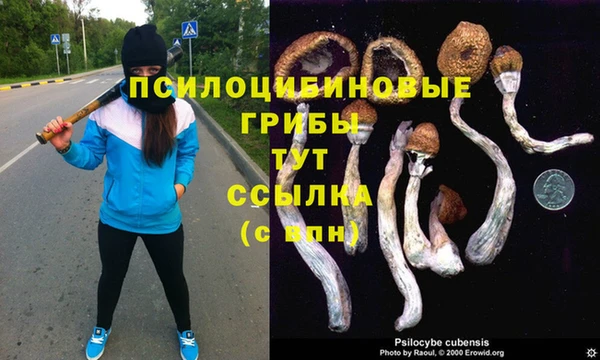 ПСИЛОЦИБИНОВЫЕ ГРИБЫ Краснослободск