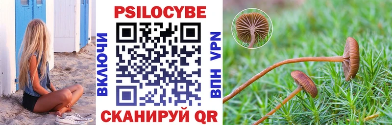 Купить закладки  Лабытнанги  Галлюциногенные грибы Cubensis 